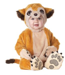 Toddler Meerkat costume Adelaide