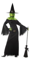 Wicked Witch Wicked Witch Costume Adelaide