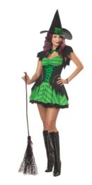 Hocus Pocus The Witch Sexy Witch Costume Adelaide