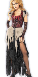 Sinderella Cinderella Costume Adelaide