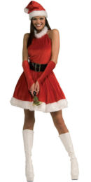 Santa's Inspiration Sexy Santa Costume Adelaide