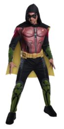 Robin Robin Arkham City