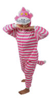 Cheshire Cat Inspired Onesie
