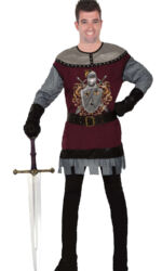 King's Knight costume