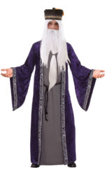 Mr Wizard Robe